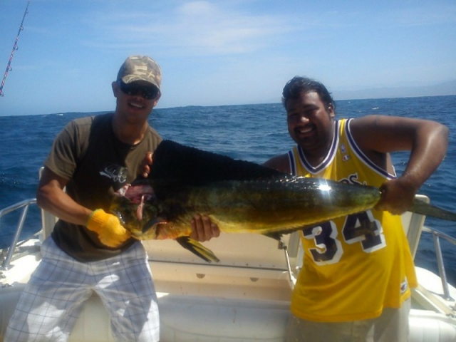  Captured in Los Cabos 